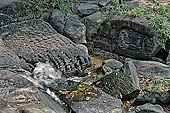 Kbal Spean, the river of the Thousand Lingam, carved on the riverbed the famous reclining Vishnu recently restored after it has been defaced by vandals 